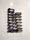 Titanium Rear Skid Springs (Each)